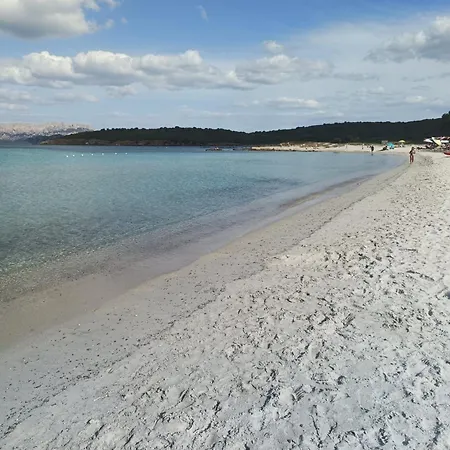 Domo Le Mura Puniche, Nel Cuore Di Olbia