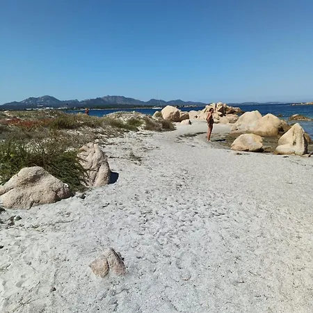 Domo Le Mura Puniche, Nel Cuore Di Olbia