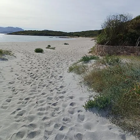 Penzion Domo Le Mura Puniche, Nel Cuore Di Olbia