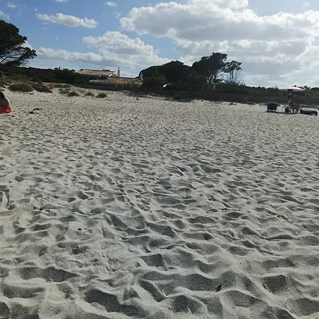 Domo Le Mura Puniche, Nel Cuore Di