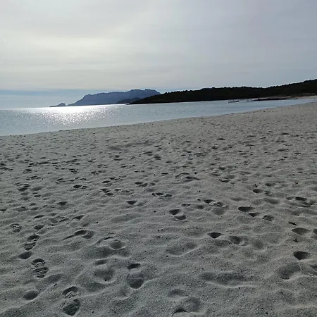 Penzion Domo Le Mura Puniche, Nel Cuore Di Olbia